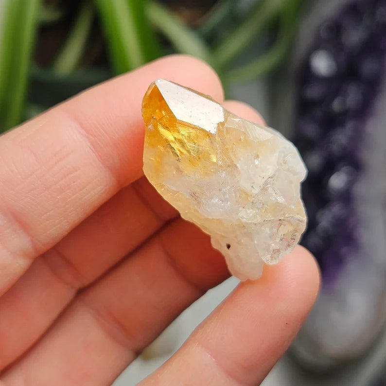 2 Pc Citrine Crystal - Brazilian Citrine Stone - Citrine Point - Raw Citrine Crystal - Birthstone - Citrine Gemstone - Terminated Citrine